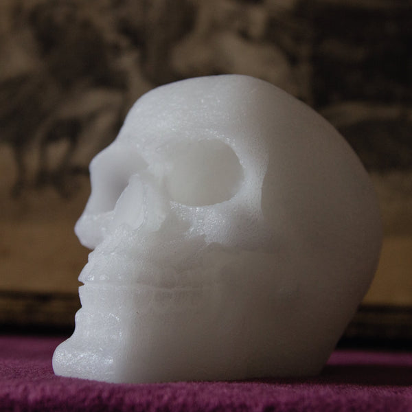 CANDWAX White Big Skull Candle