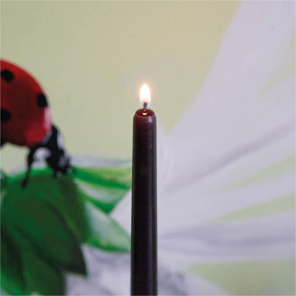 CANDWAX Black Taper Candles - BIG SET