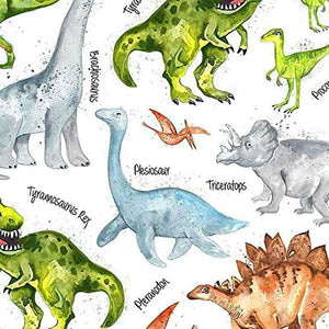 Timeless Treasures Fabrics Dino Trek Dinosaurs and Names