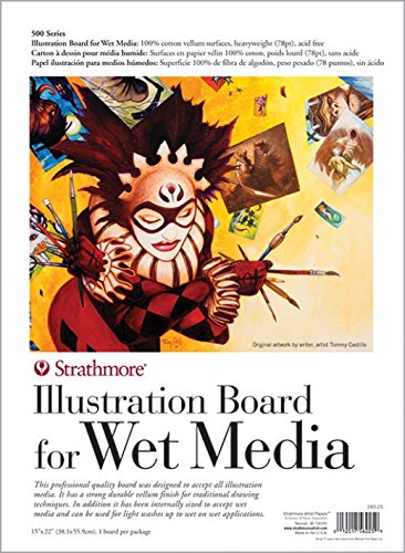Strathmore (240-30 500 Series Illustration Board for Wet Media, Heavyweight 78 Point, 22"x30"