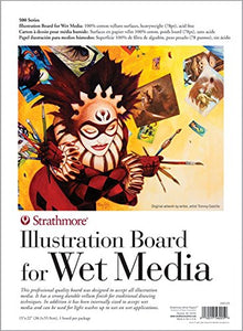 Strathmore (240-30 500 Series Illustration Board for Wet Media, Heavyweight 78 Point, 22"x30"