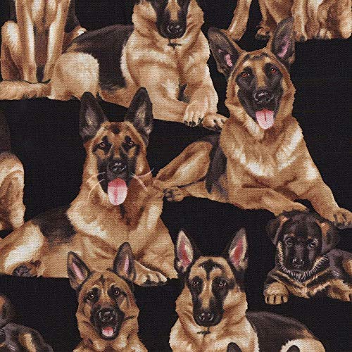 Black German Shepherd Dogs